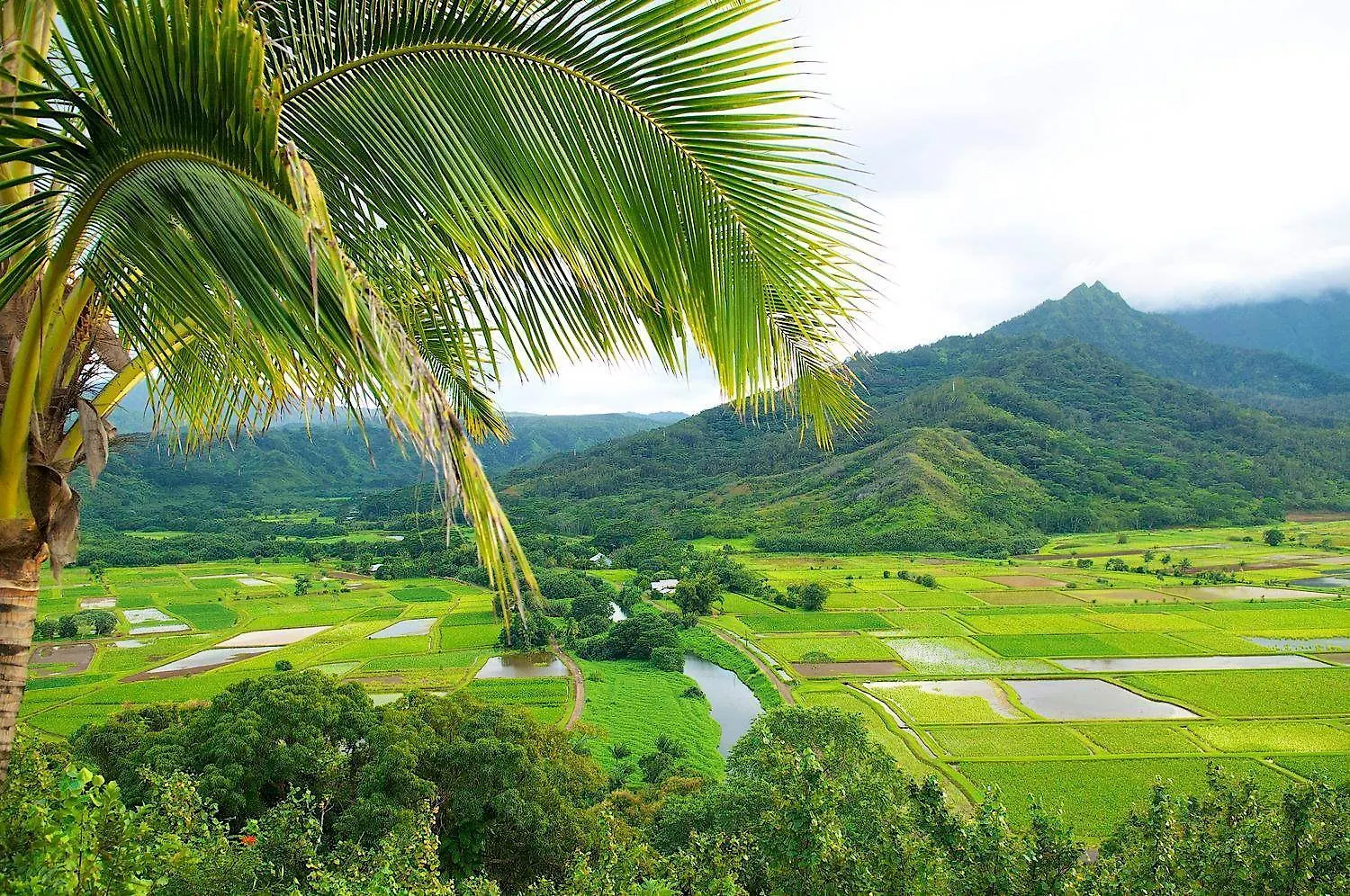 Waipouli Beach Resort H207 Kapa'a 0*,